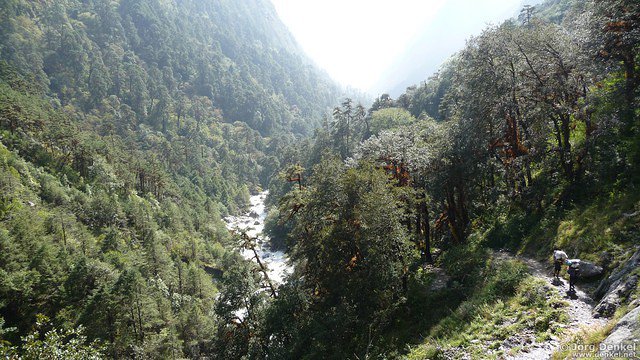 himalaya-langtang 131