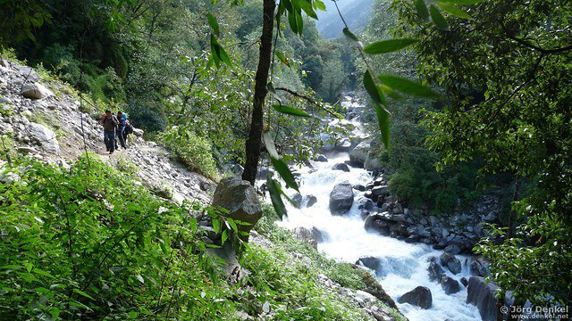 himalaya-langtang 139