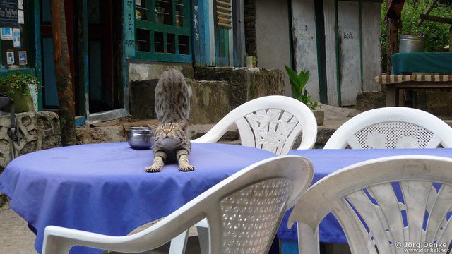 himalaya-langtang 140