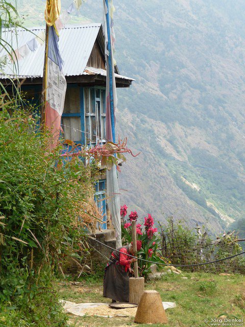 himalaya-langtang 152