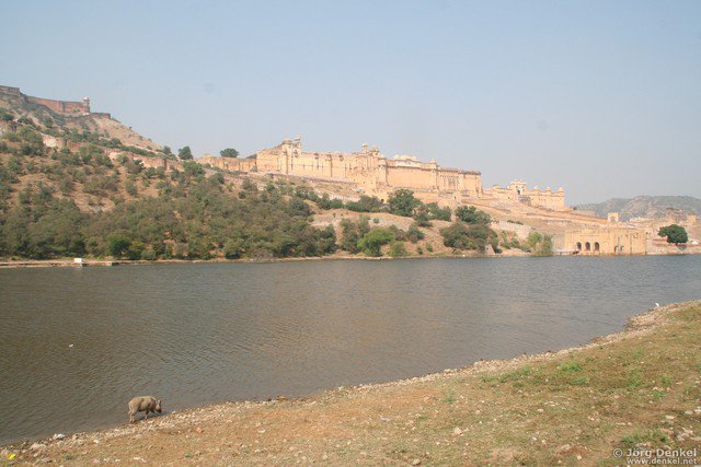 jaipur 007