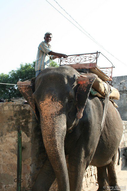 jaipur 037