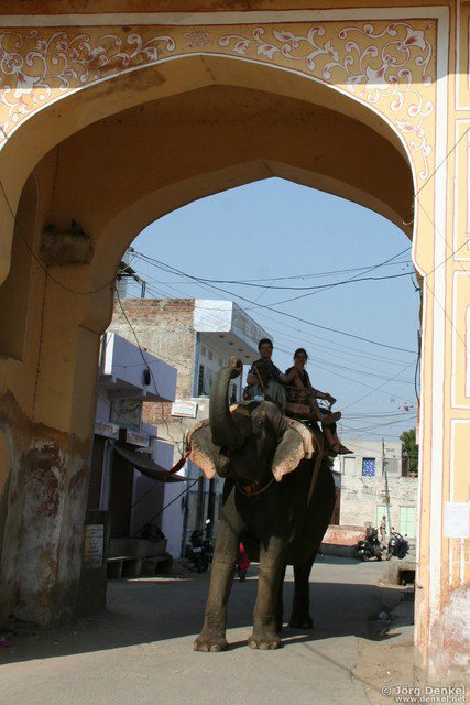 jaipur 038