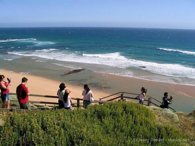 03_greatoceanroad_018