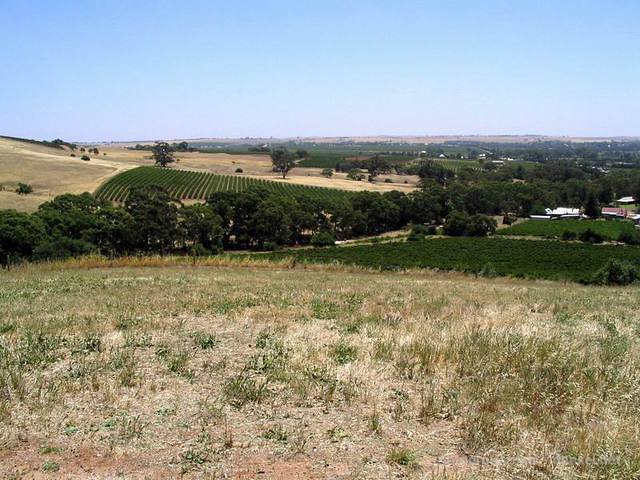01_barossa_008
