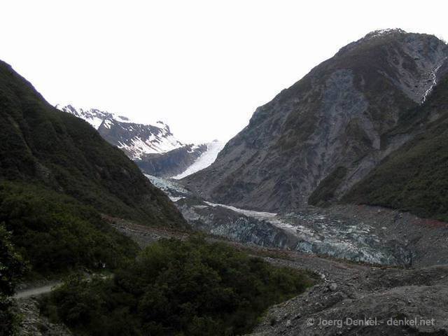 05_foxglacier_005