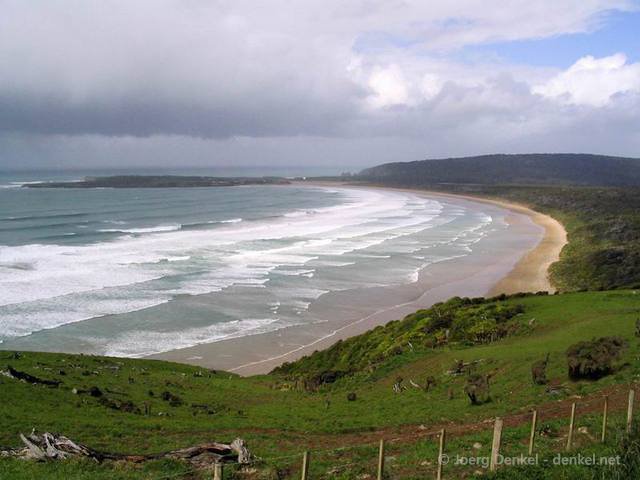 03_catlins_011