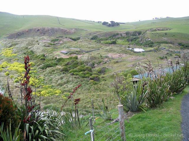 03_catlins_017