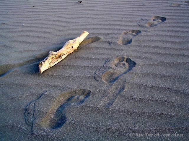 06_christchurch_akaroa_018