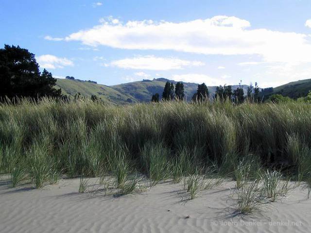 06_christchurch_akaroa_020