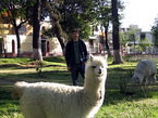 arequipa_055.jpg