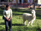 arequipa_056.jpg