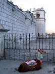 colca_006.jpg