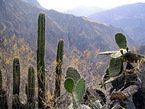 colca_023.jpg