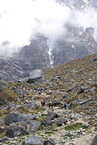 salkantay_020.jpg