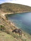 titicaca_037.jpg