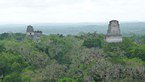 tikal 011