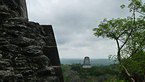 tikal 012