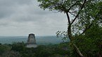 tikal 013