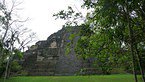 tikal 027
