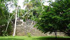 tikal 029