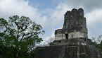 tikal 036