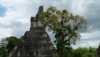 tikal 047
