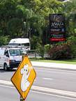 06_noosa_004
