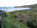 03_catlins_043