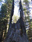 07_Yosemite_33